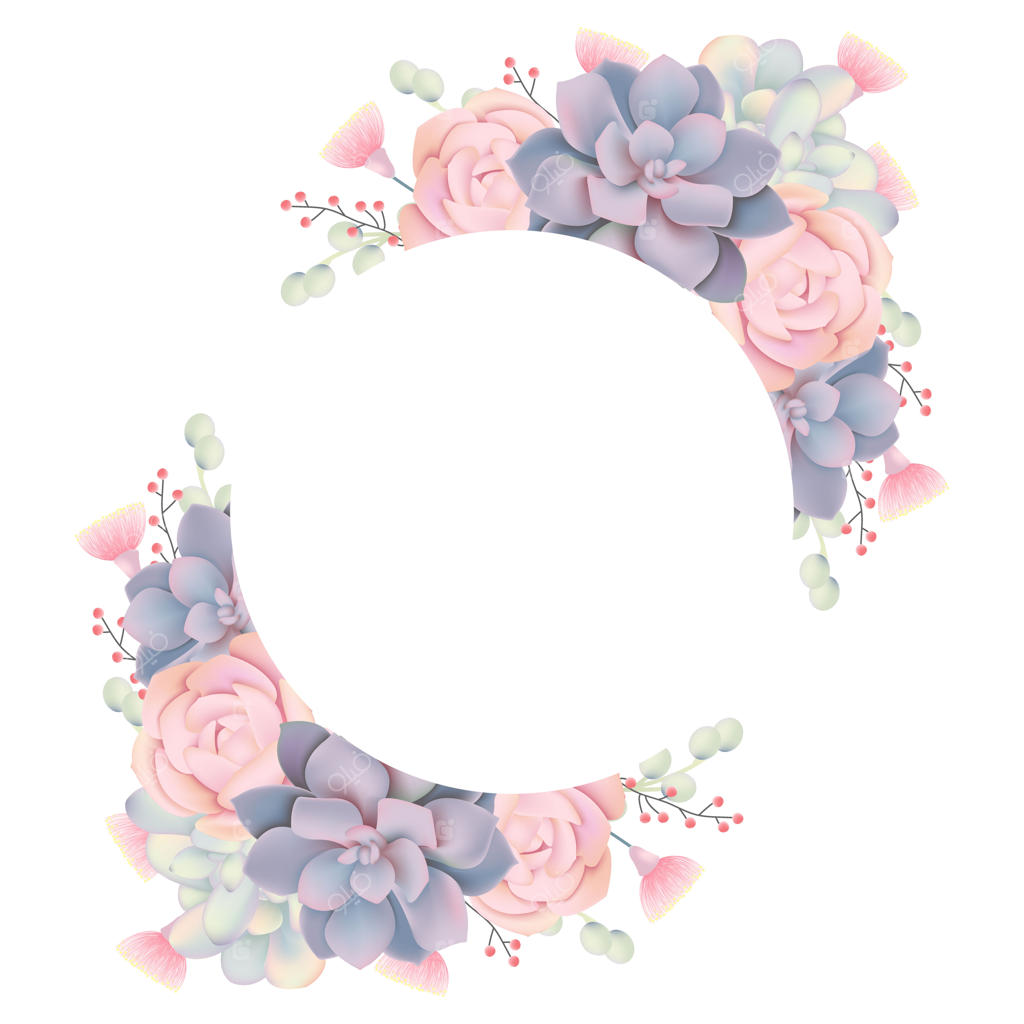 زمینه قاب با گل‌های تزئینی و کاکتوس‌ها