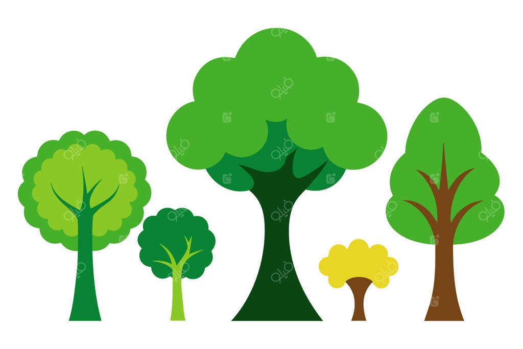 مجموعه‌ای از درختان متنوع، از جمله درختی با برگ‌های سبز