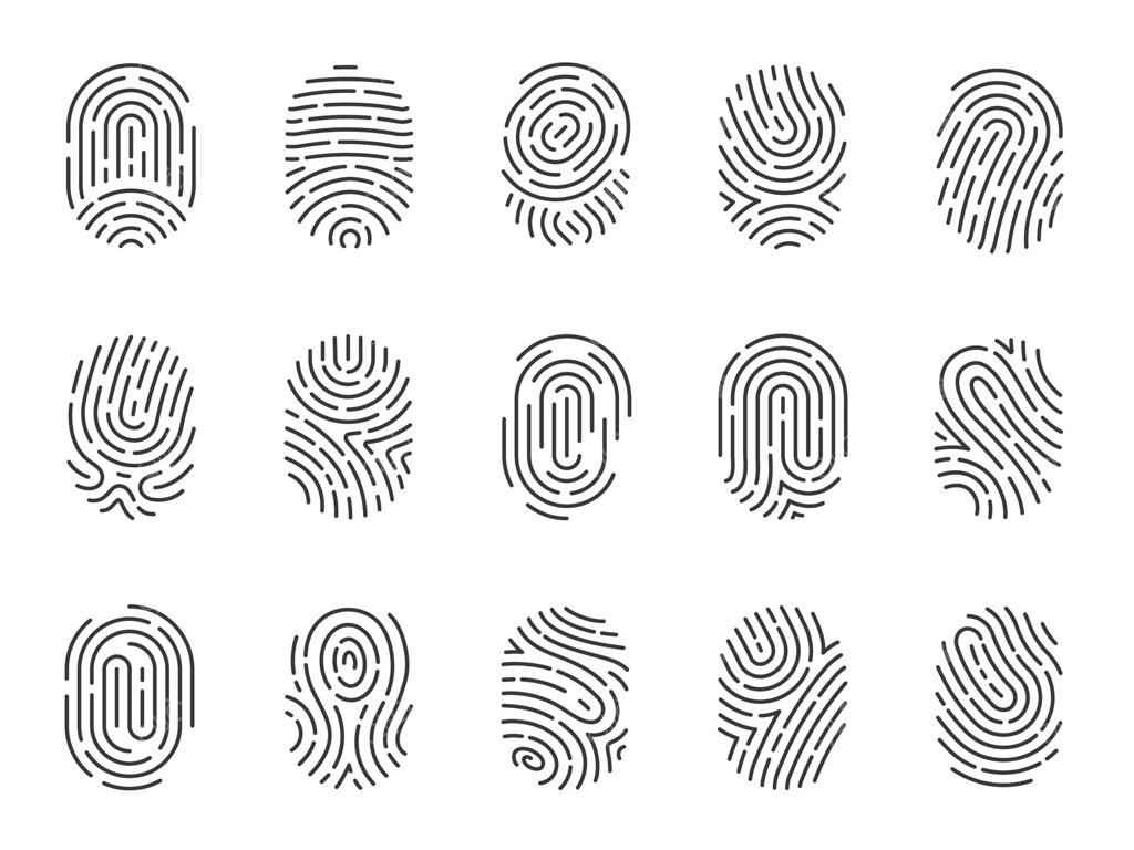 آیکون‌های اثر انگشت: آیکون‌های اثر انگشت و شست به‌منظور امنیت، تحقیقات، حفاظت از هویت بیومتریک و حریم خصوصی. مجموعه وکتور تخت