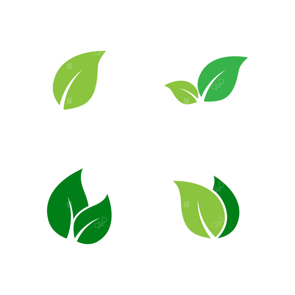 طرح وکتور و قالب لوگوی نماد برگ سبز