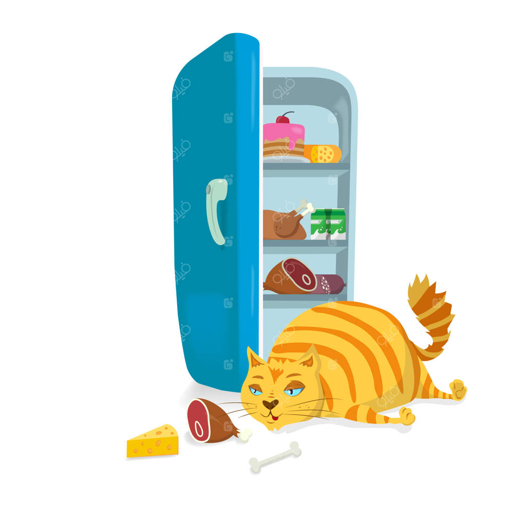 گربه چاق از یخچال غذا می‌دزدد