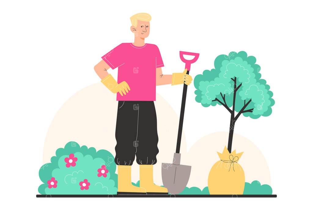 مرد جوانی با لباس باغبانی درختی نو می‌کارد