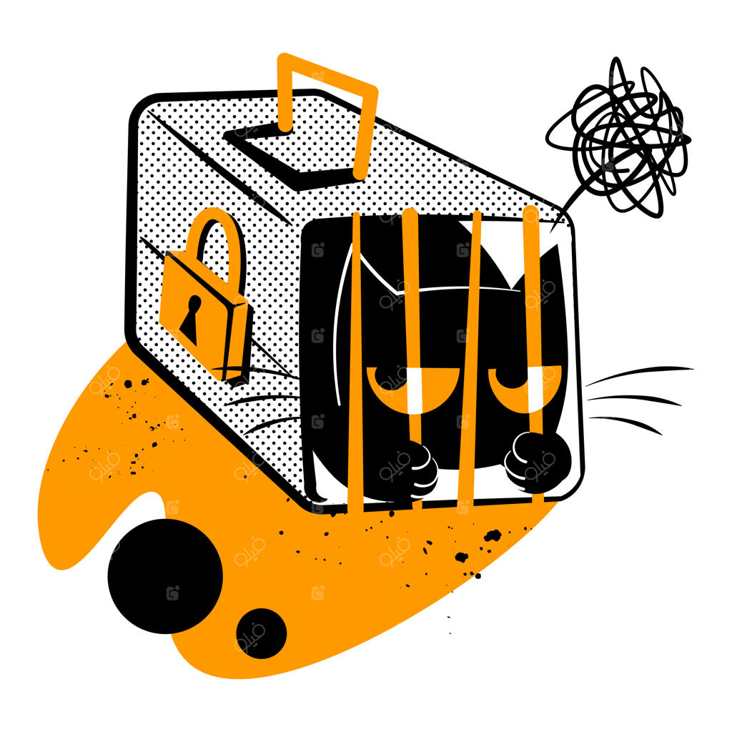 گربه زندانی شد