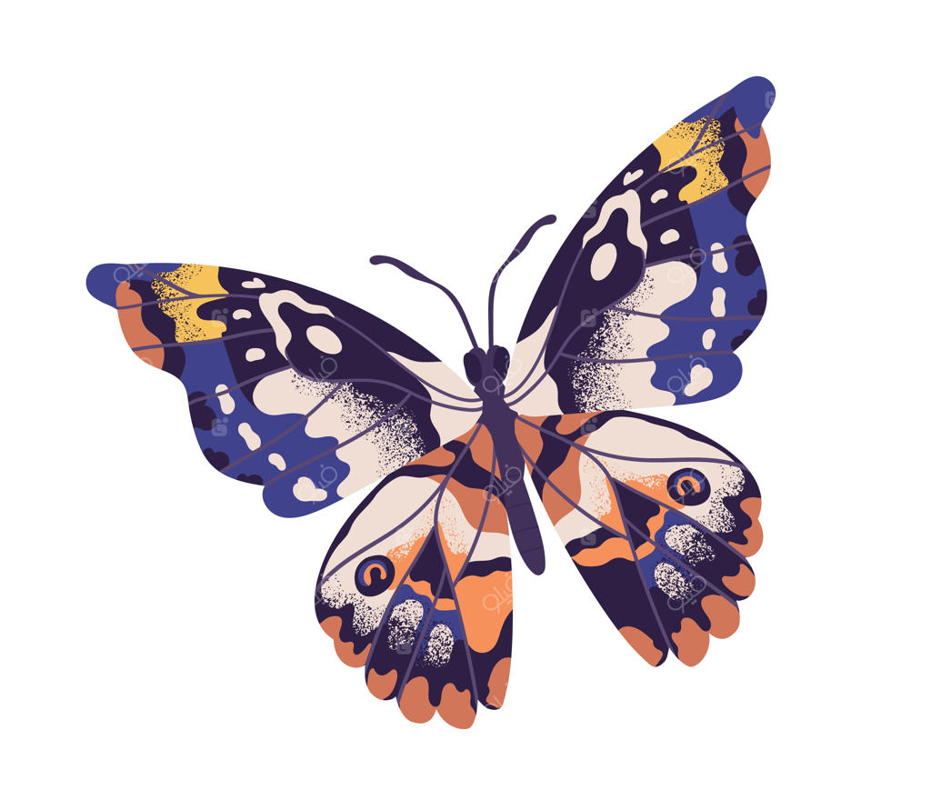 پروانه گرمسیری زیبا با بال‌ها و شاخک‌های رنگارنگ بر روی پس‌زمینه سفید. نمای بالایی زیبای یک شب‌پره در حال پرواز. حشره بهاری خیره‌کننده و جذاب. تصویر برداری تخت و رنگی با بافت ویژه.