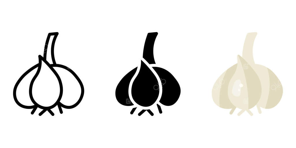 نماد سیر خام: رنگ حبه‌ی سیر سفید. نشانه‌ی برداشت ارگانیک باغ. سبزی تند و ویتامینی برای سالاد. تصویر تغذیه سالم و رژیم غذایی.