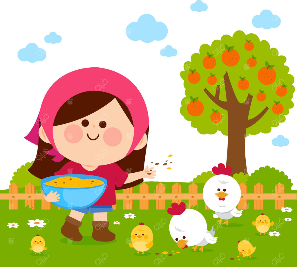 دختر کوچک کشاورز در مزرعه در حال غذا دادن به مرغ‌ها. کودکی شاد در مزرعه که با مرغ‌ها، نرده و درخت پرتقال در باغ کار می‌کند.