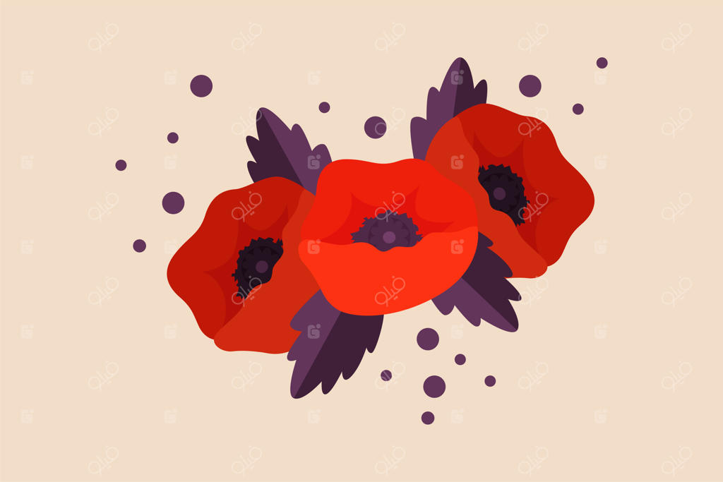 تصویرسازی وکتور تخت سه گل شقایق قرمز به عنوان نماد و مفهوم روز یادبود، جدا شده از پس‌زمینه