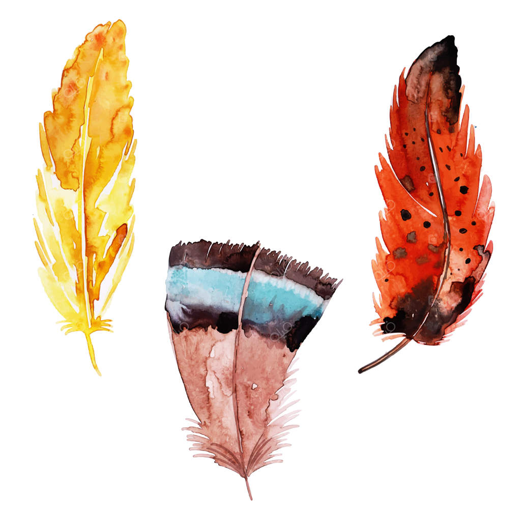 مجموعه زیبای پرهای نقاشی آبرنگی