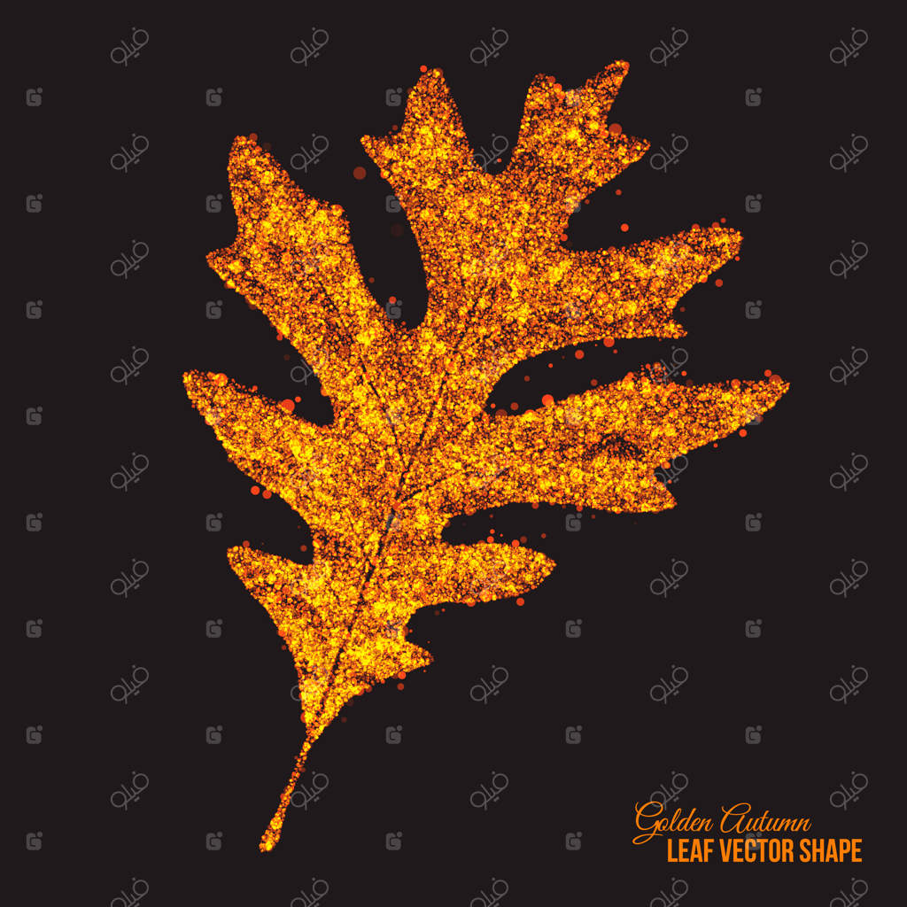 ذرّات درخشان برگ بلوط پاییزی طلایی