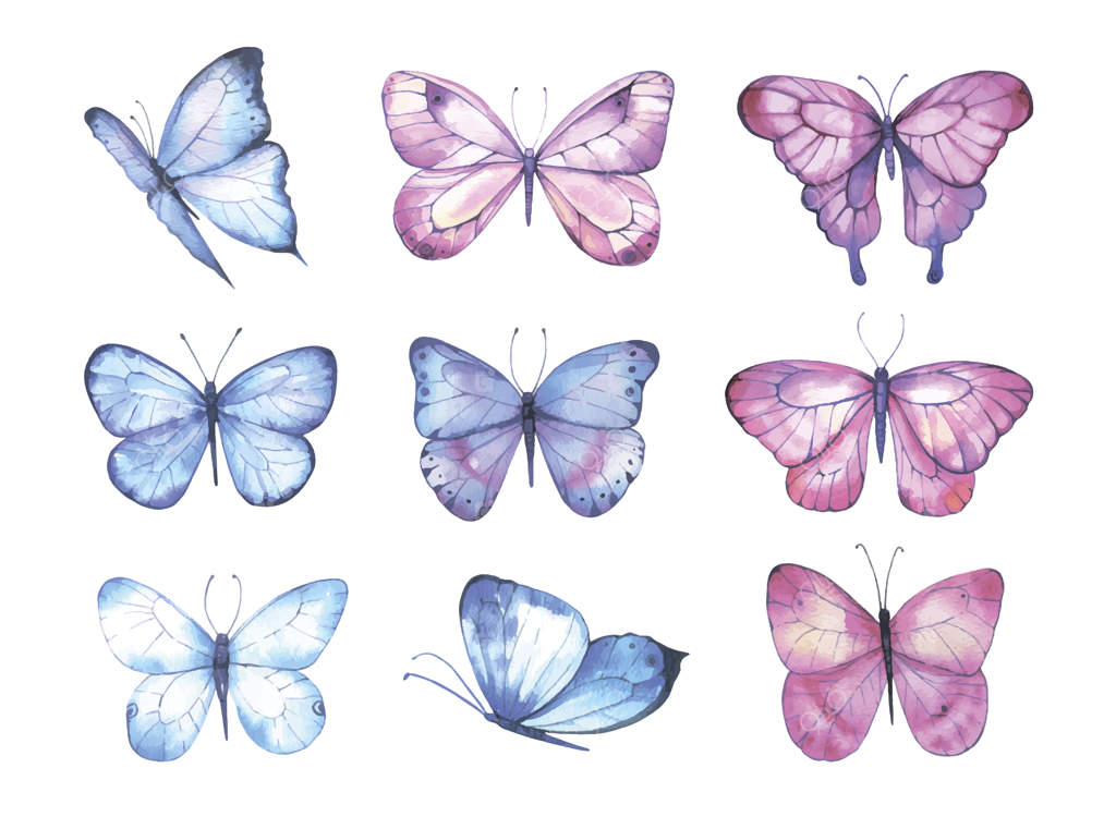 مجموعه پروانه‌های آبرنگی