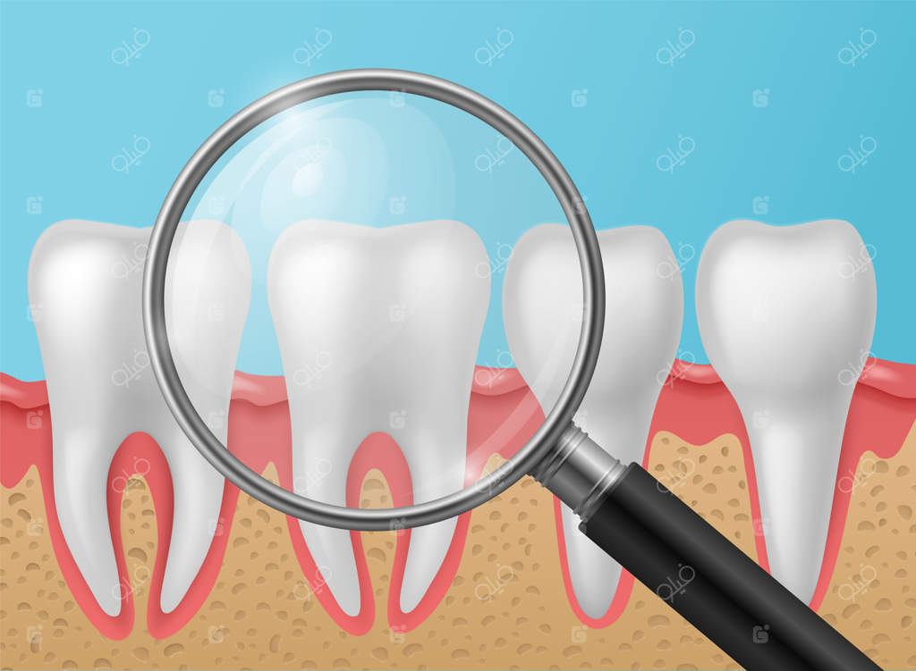 دندان‌های سالم با ذره‌بین: دندان طبیعی سفید براق با ریشه در لثه، درمان سفید کردن مینای دندان، بهداشت دندانپزشکی، مراقبت و حفاظت از دهان و دندان، طرح مفهومی سه‌بعدی وکتور