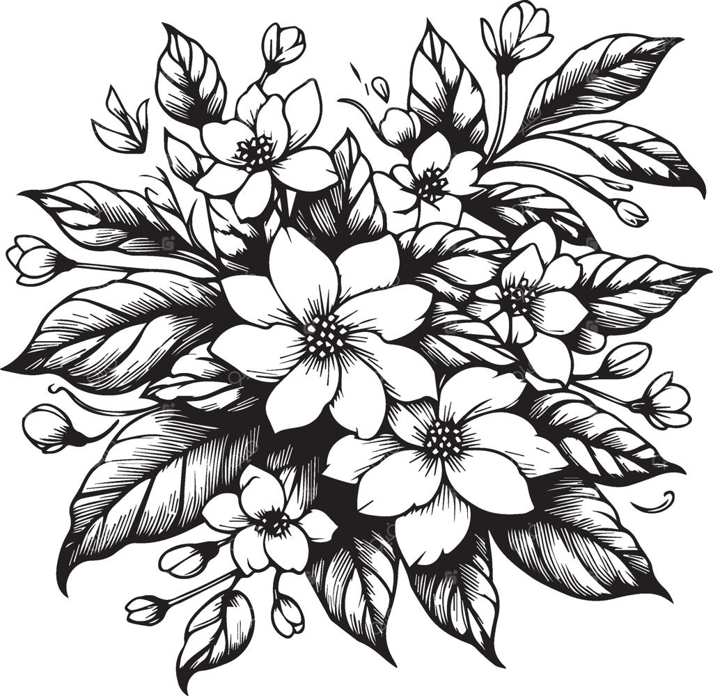 طرح گل یاسمن: تصویر زیبا و هنری گل‌آرایی برای کتاب یا صفحه رنگ‌آمیزی، یاس ستاره‌ای، نقاشی دستی و یک‌رنگ گل، هنر وکتور، طراحی ذن دو دل