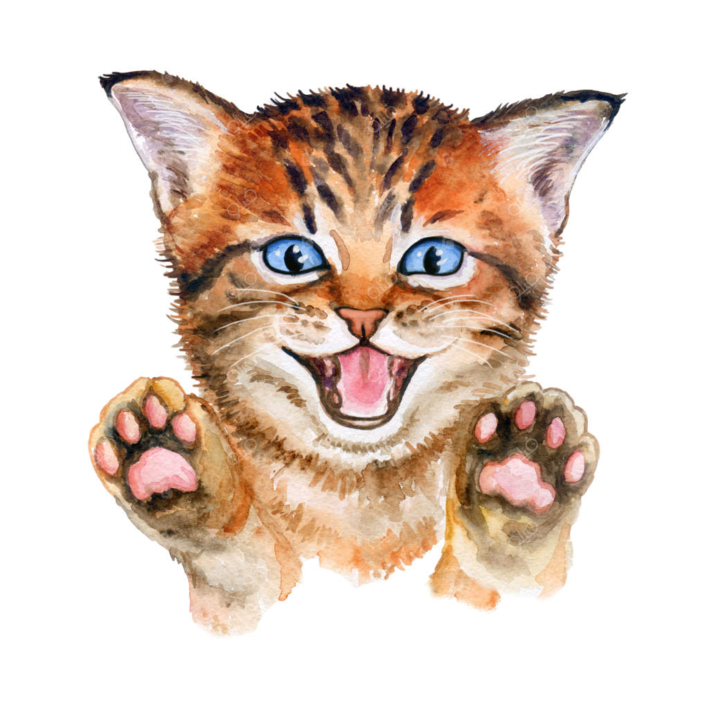 بچه گربه بامزه با پاهای بالا رفته در آبرنگ