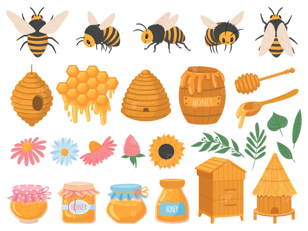 زنبورداری: محصولات زنبورداری و انواع عسل در شیشه‌های مختلف. کندو، موم زنبور عسل، کندو، گل‌ها و زنبورها به‌عنوان مجموعه‌ای از غذاهای ارگانیک