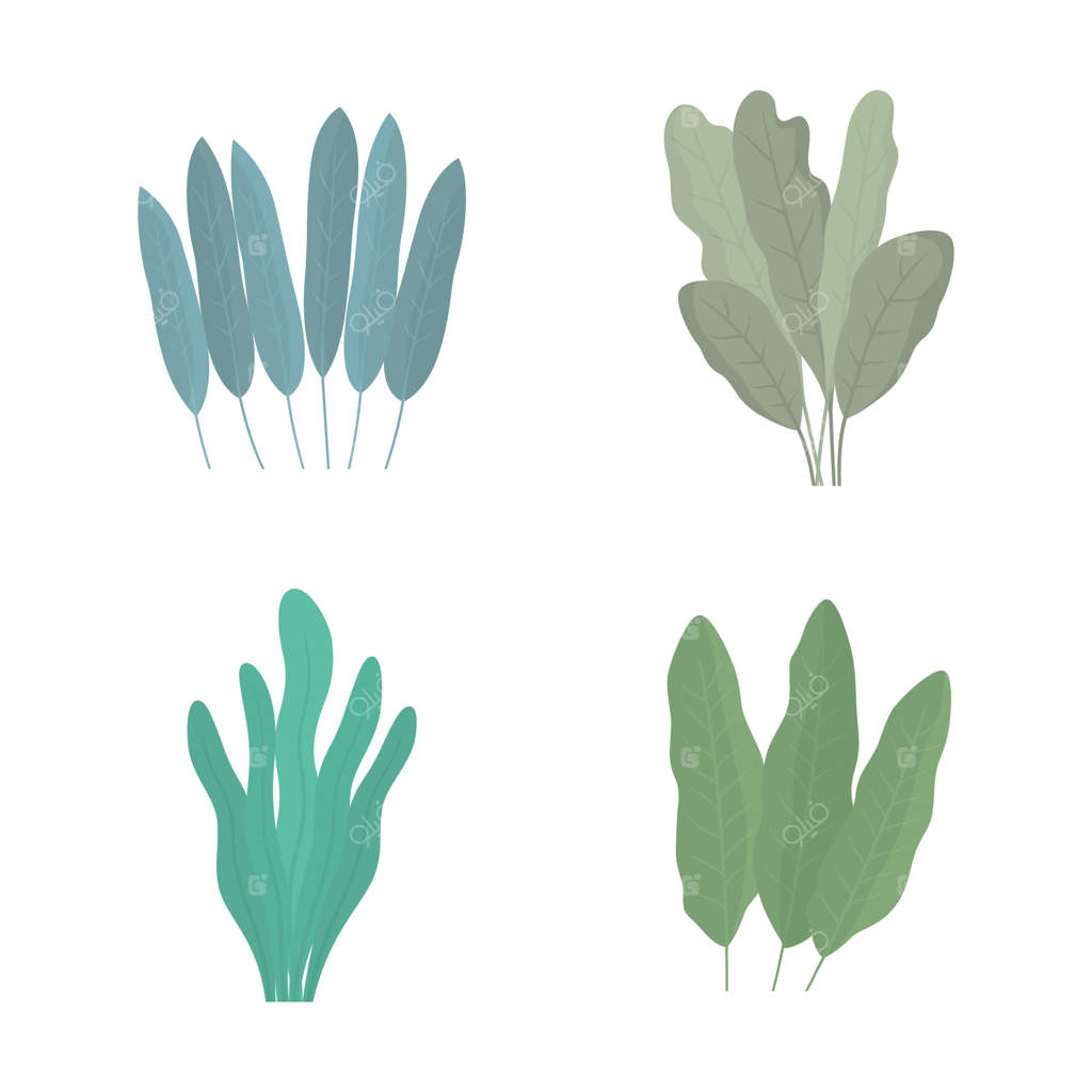 مجموعه‌ای از برگ‌های سبز استوایی، شاخ و برگ، چمن و گیاهان در پارک و باغ