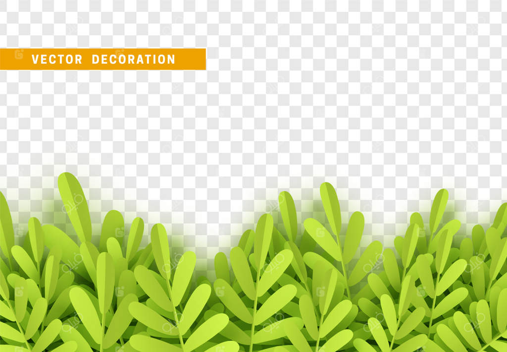 هنر کاغذی برگ‌ها و چمن به سبک کارتونی: حاشیه تزئینی ساخته شده از برگ‌ها. تصویر وکتور