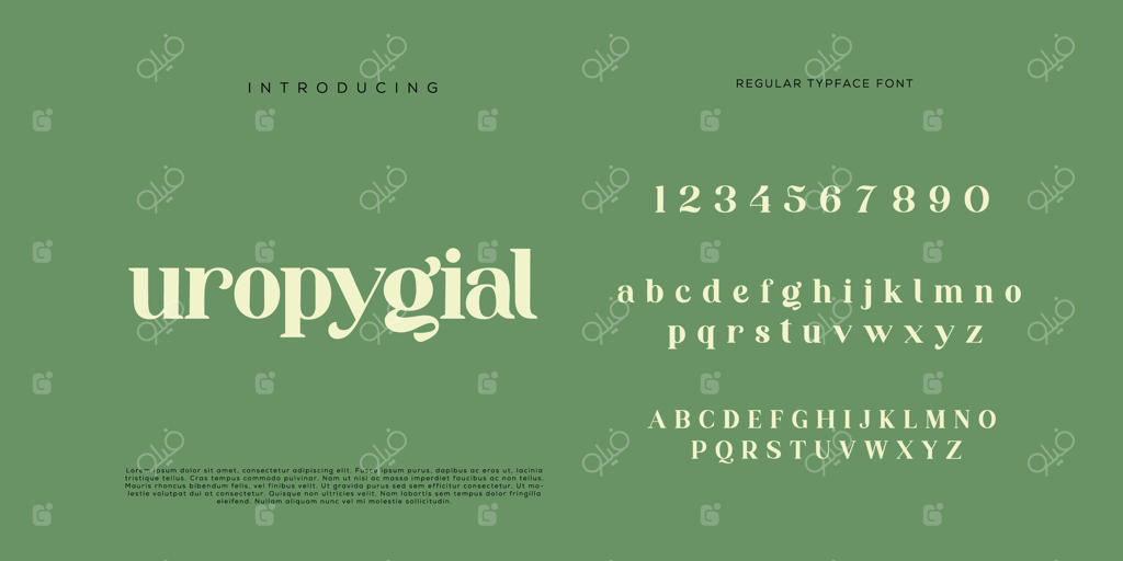 فونت حروف الفبا و اعداد به سبک کلاسیک و مینیمال در طراحی مد و تایپوگرافی شیک