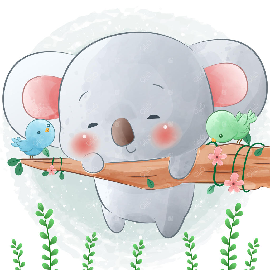 تصاویر بامزه از کوالا در حال بالا رفتن از درخت در کنار پرندگان