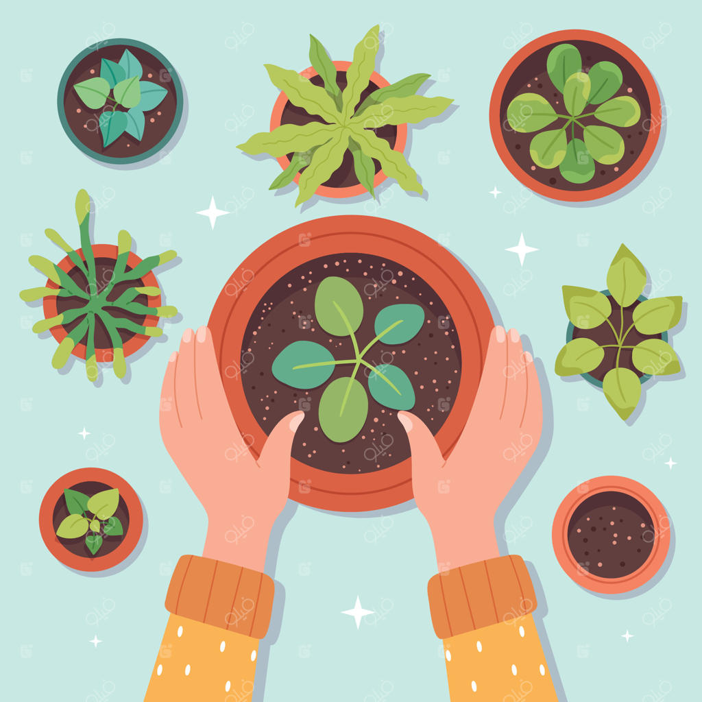 کاشت مجدد گل‌ها: کاشت گیاهان در گلدان خانگی، گیاهان خانگی و آپارتمانی