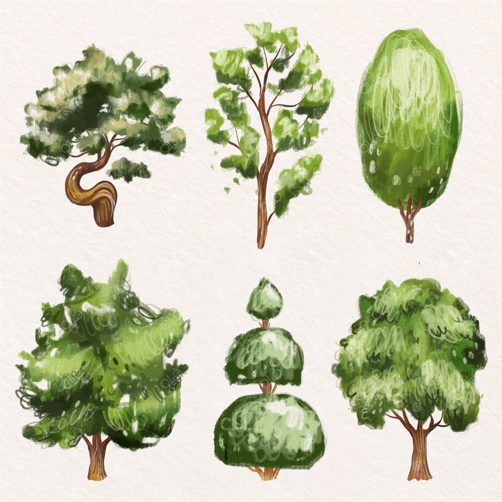 مجموعه‌ای از نقاشی درختان با آبرنگ