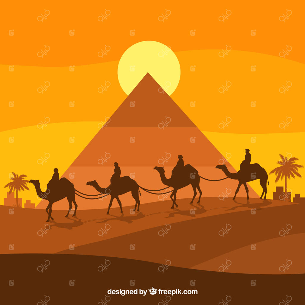 منظره شب صاف با اهرام مصر و کاروان شتران