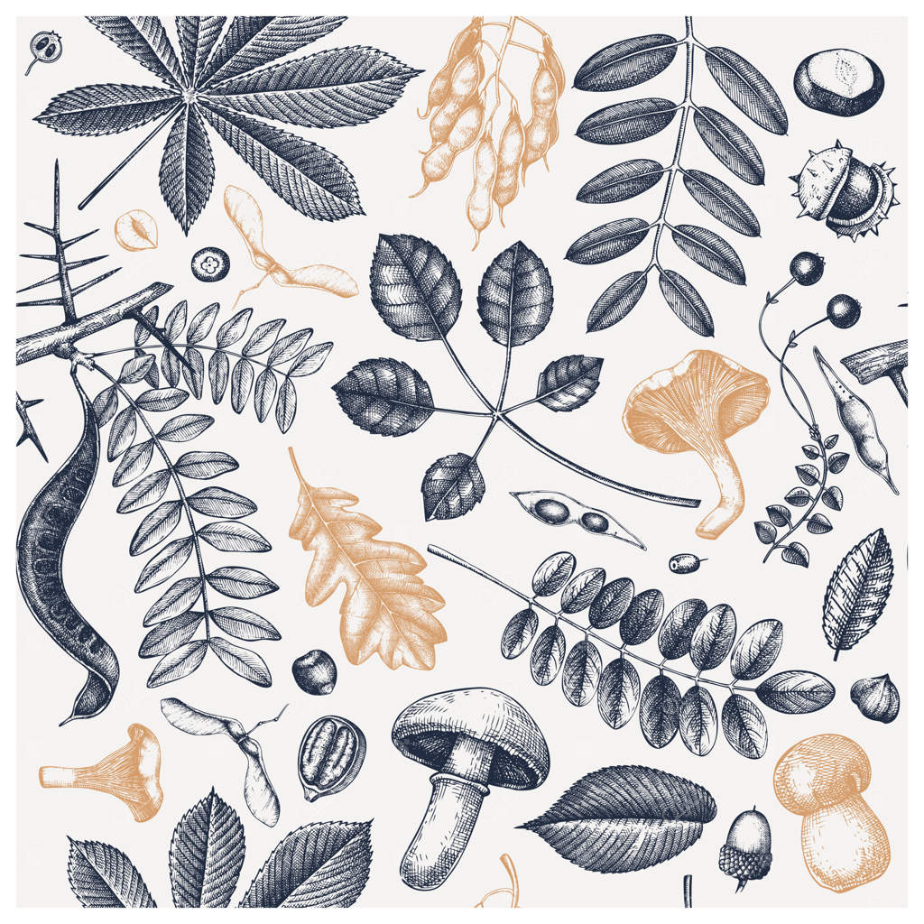 طرح پاییزی کلاسیک و یکپارچه