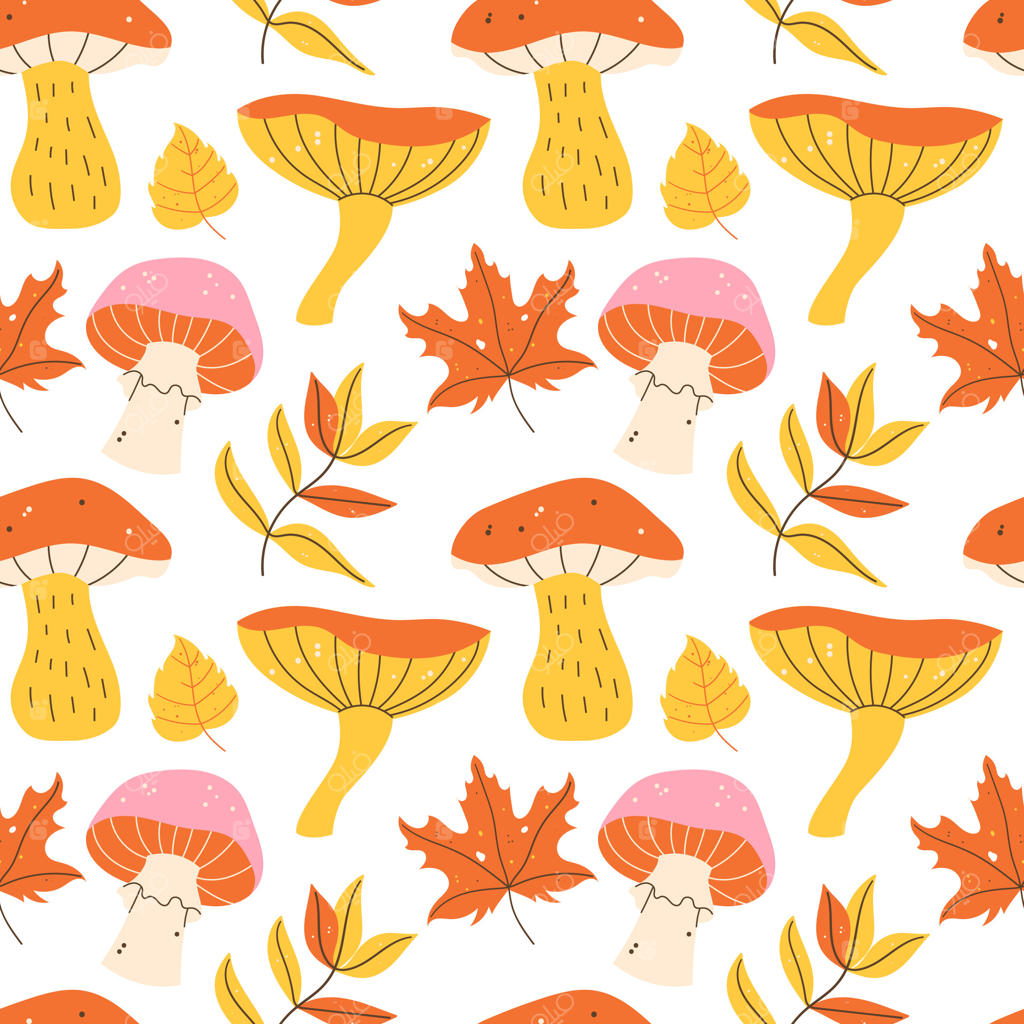 پترن رنگارنگ قارچ و برگ