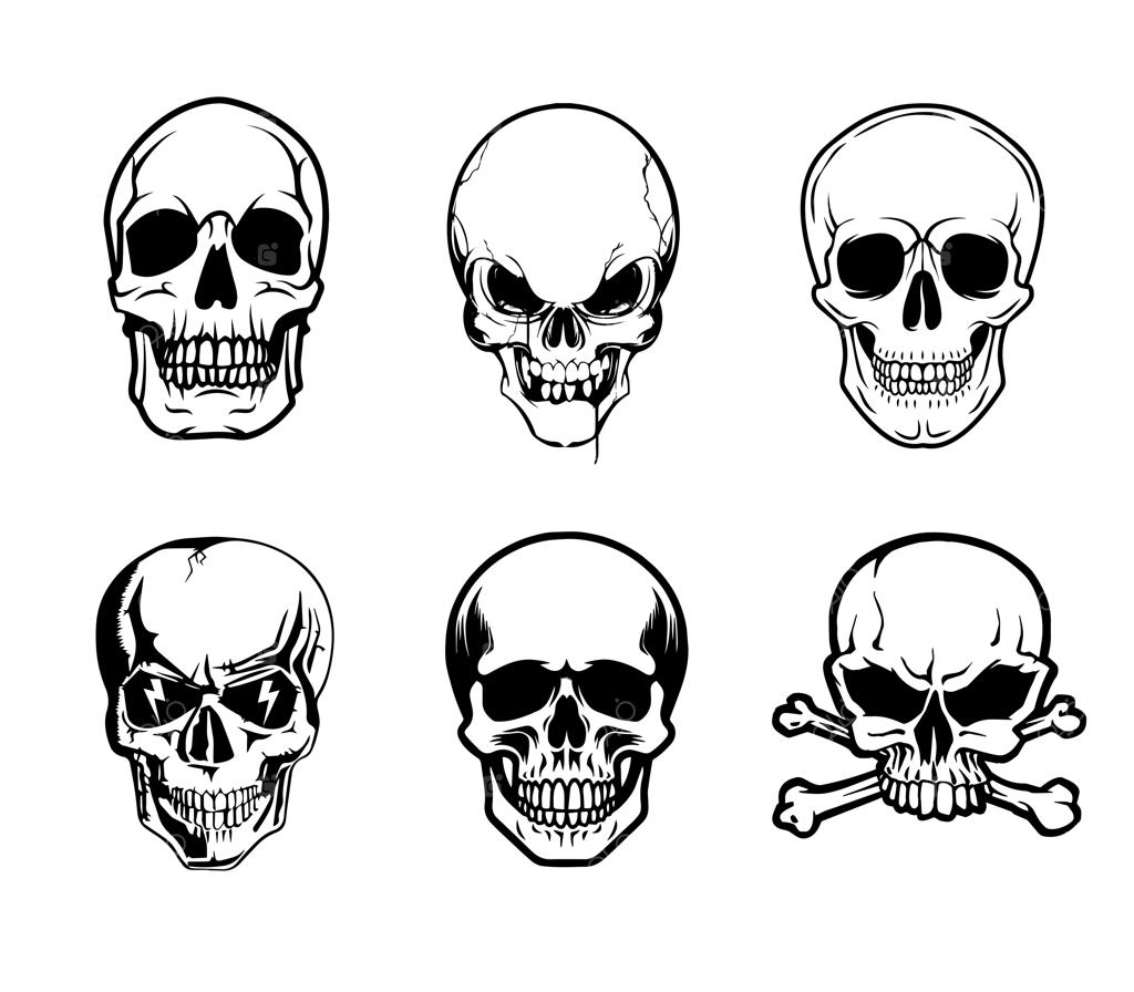 مجموعه طرح وکتور و آیکون لوگوی جمجمه