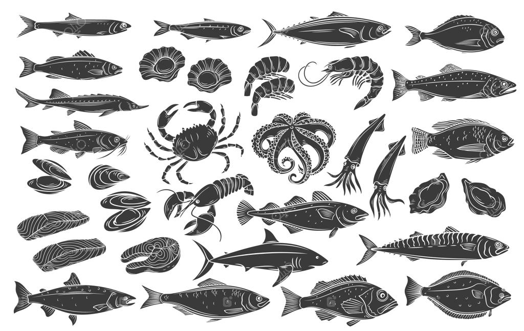 مجموعه آیکون‌های گلایف ماهی و غذاهای دریایی. طرح‌های تک‌رنگ شاه‌ماهی، ماهی مرکب، هشت‌پا، سالمون، هالیبوت، صدف و گوش‌ماهی. ماهی‌های حکاکی‌شده شانک، خال‌مخالی، تن یا استرلت، گربه‌ماهی، کاد، هالیبوت، لابستر و خرچنگ.