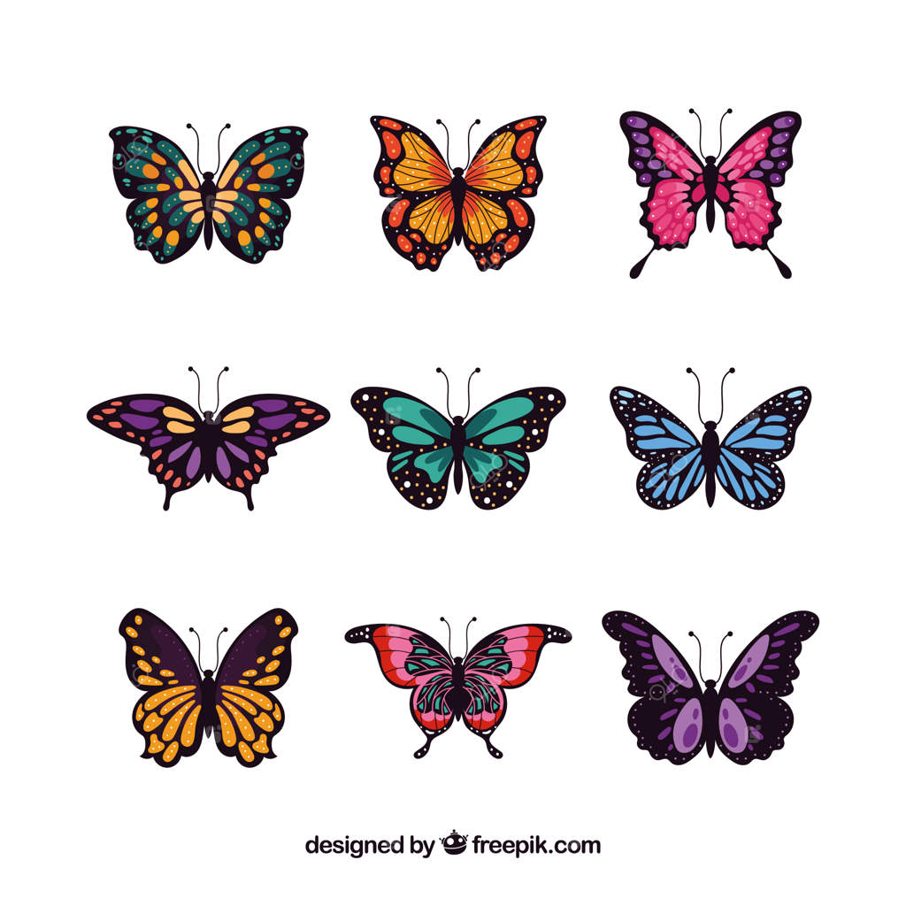 مجموعه‌ای از پروانه‌های زیبا