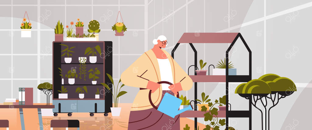 باغبان زن مسن با آب‌پاش در حال مراقبت از گیاهان گلدانی در خانه یا فضای داخلی دفتر
