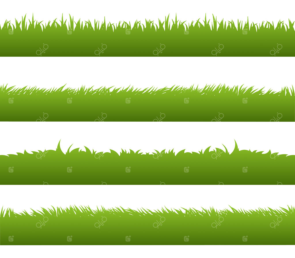 انواع گیاهان دارویی برای نیازهای شما