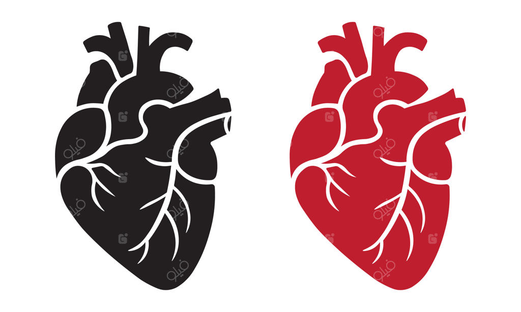 تصویرسازی وکتور قلب آناتومیک سیاه و قرمز، سیلوئت قلب انسان و نمادهای پزشکی