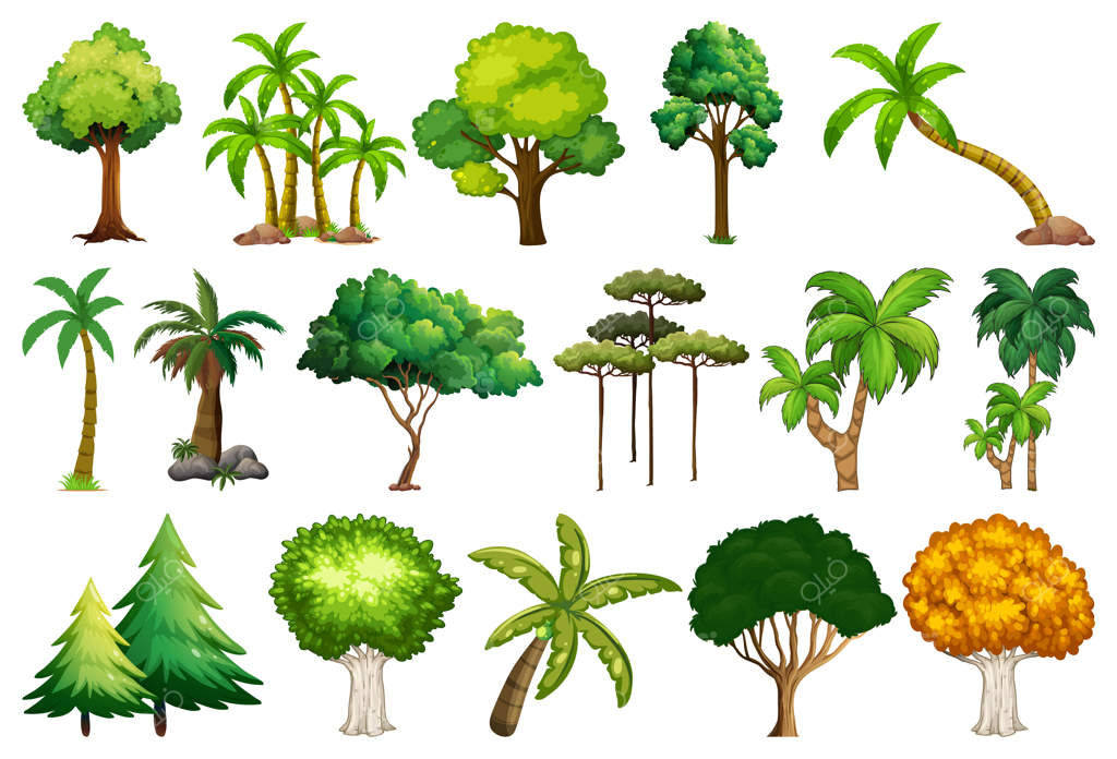 مجموعه‌ای از گیاهان و درختان متنوع