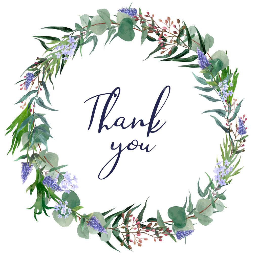 تاج گل گرد گیاهی، نقاشی با آبرنگ دستی