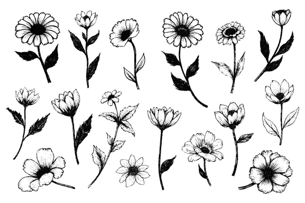 مجموعه گل‌ با طرح نقطه‌ای و نقاشی‌های گیاهی ظریف. طراحی گل‌های دست‌کشیده‌ی شیک برای پروژه‌های تاتو، چاپ و دکوراتیو.