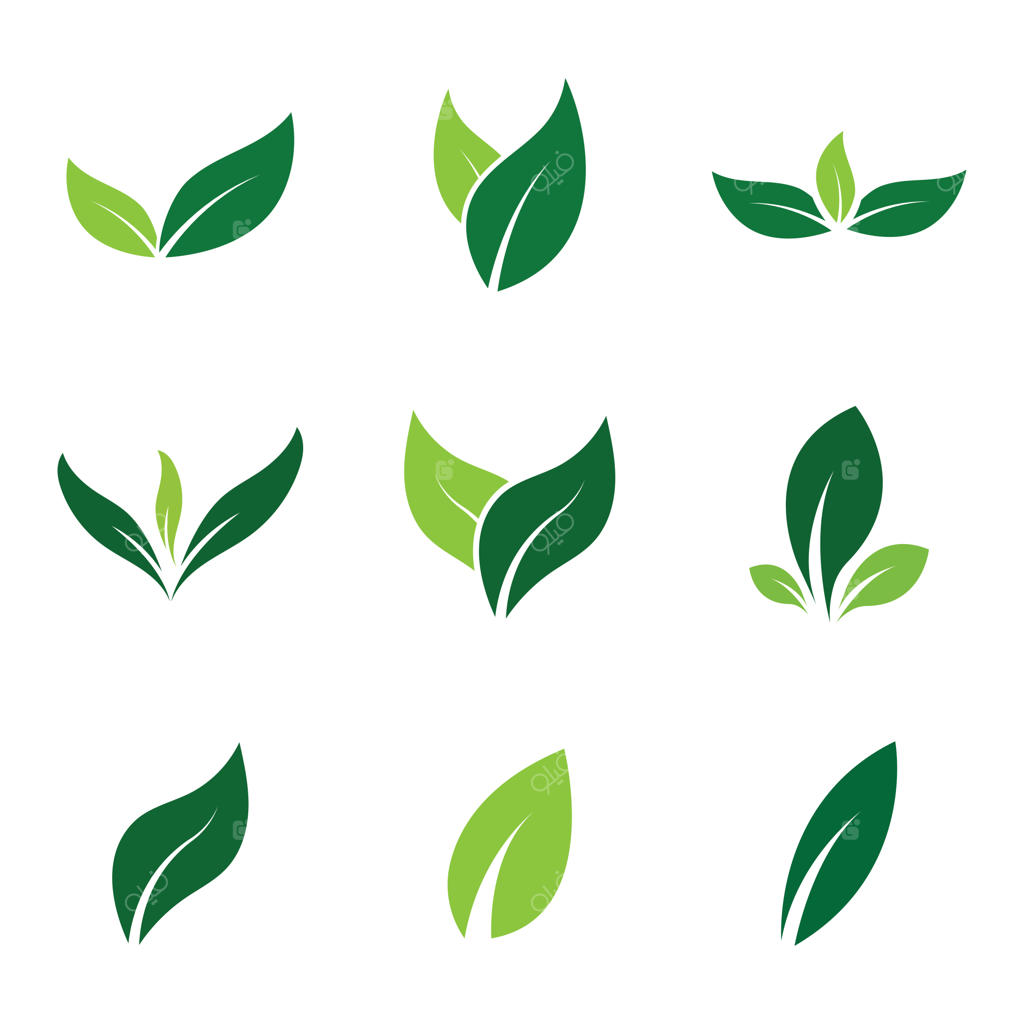 قالب طراحی لوگو و آیکون برگ