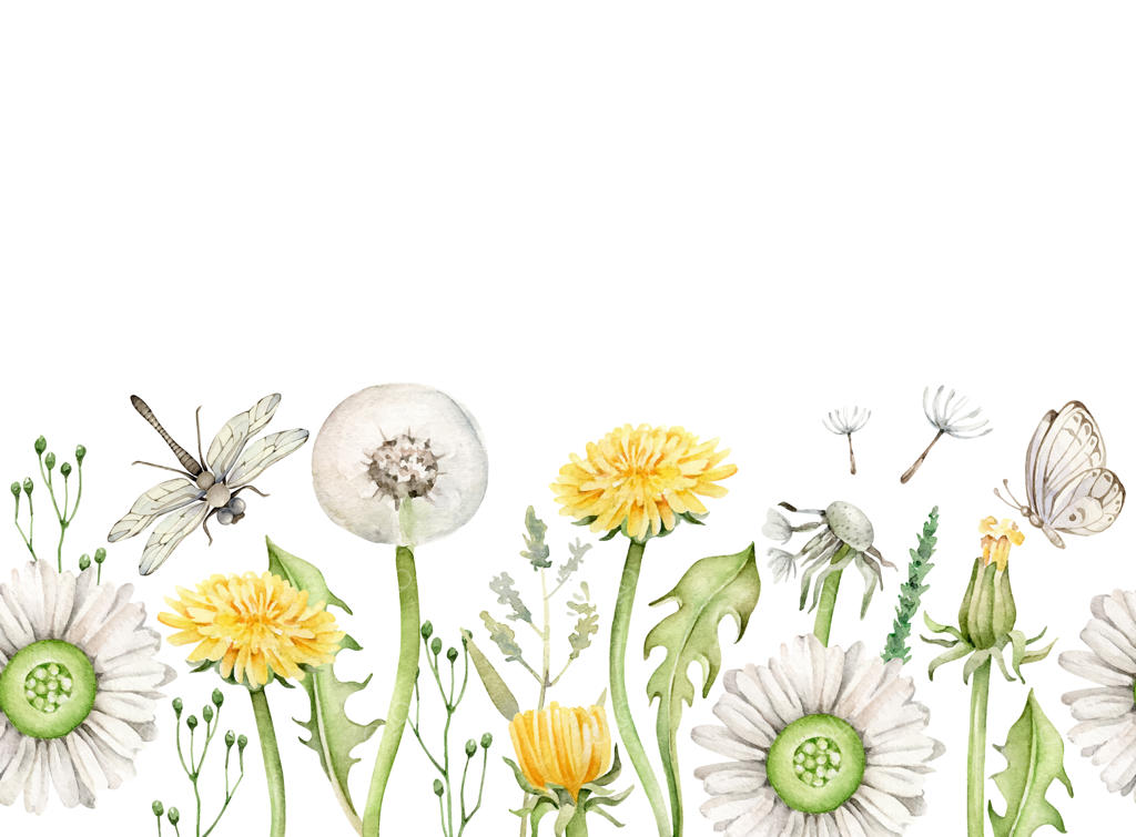 قالب حاشیه گل‌های تابستانی