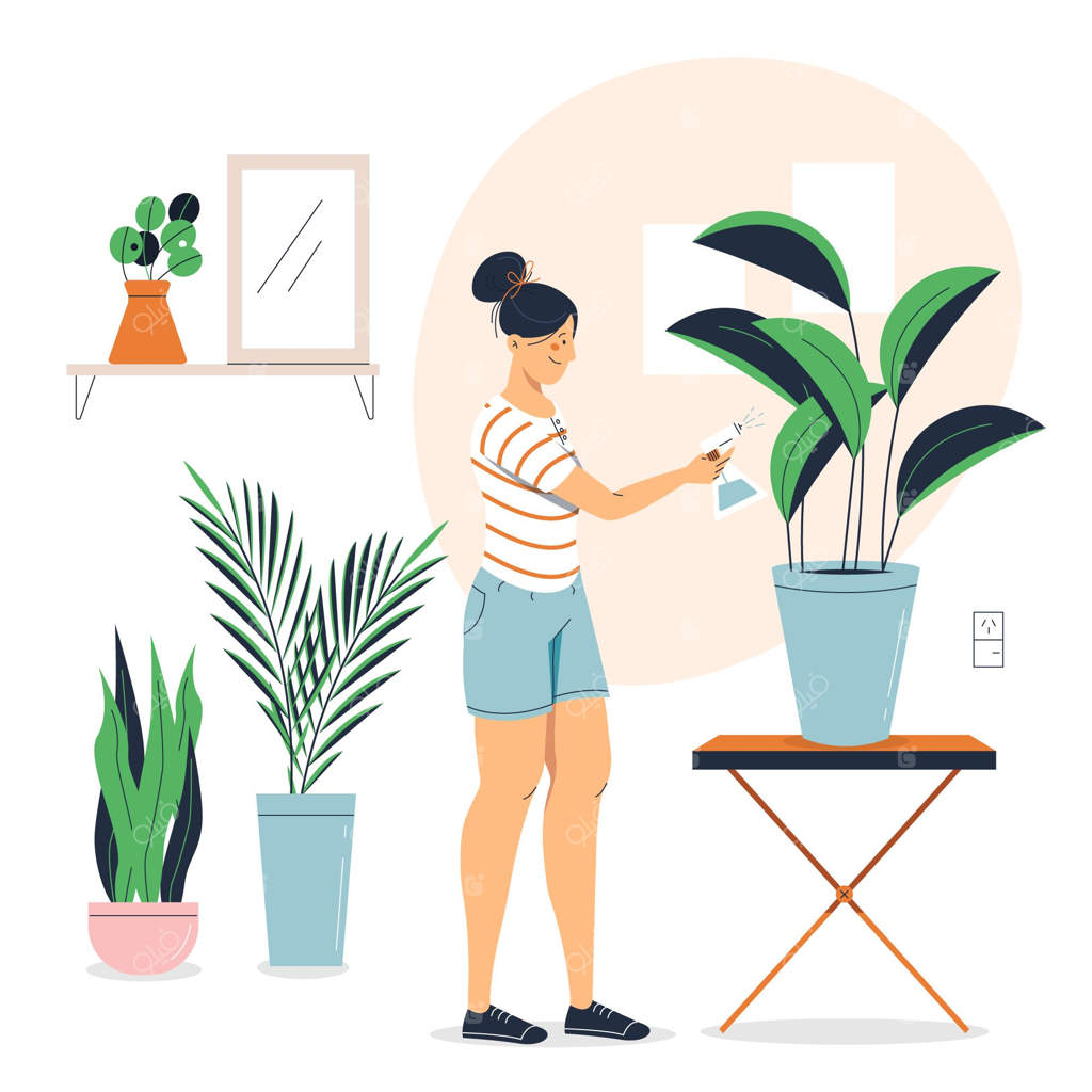 ایده های باغبانی در خانه