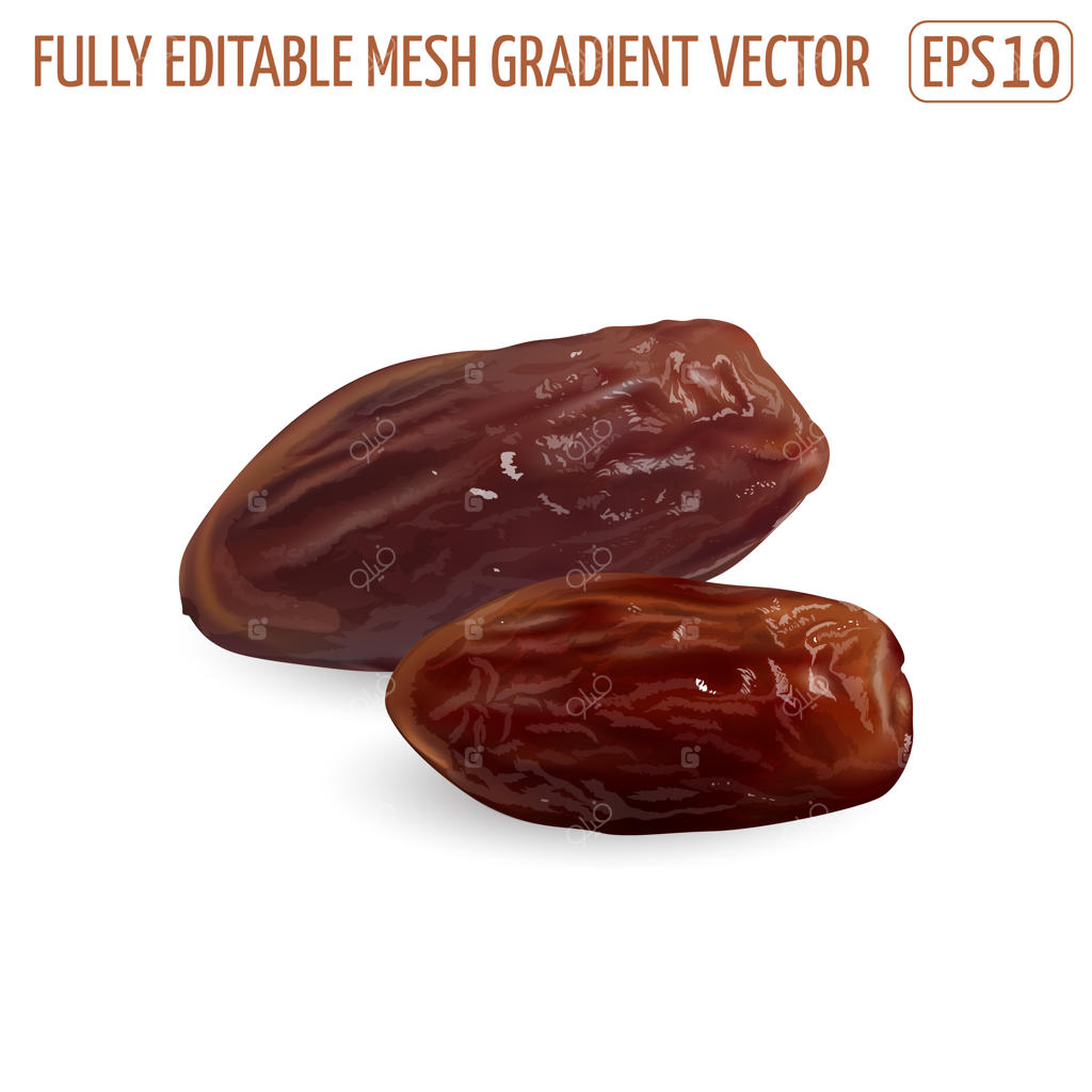 میوه‌های خشک خرما روی زمینه سفید. تصویرسازی واقعی.