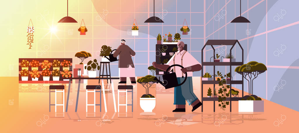 زوج سالخورده باغبان در حال مراقبت از گیاهان گلدانی و گل‌ها در گلخانه - تصویر افقی وکتور