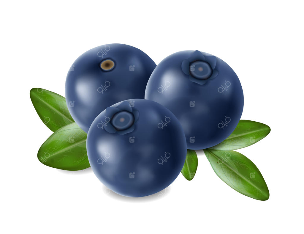 بلوبری طبیعی و واقع‌گرایانه، میوه‌های تابستانی جدا شده از زمینه