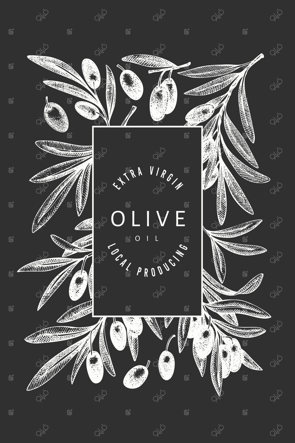 پترن شاخه زیتون: تصویرسازی دستی غذای مدیترانه‌ای بر روی تخته سیاه به سبک حکاکی شده. تصویر گیاهی کلاسیک.