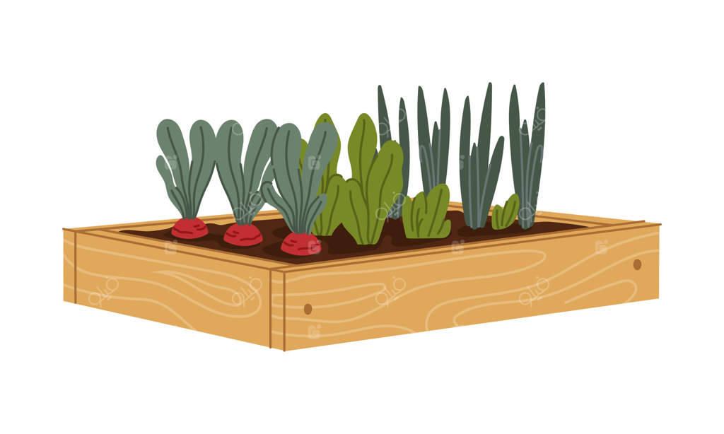 تخت چوبی باغ پر از خاک و سبزیجات