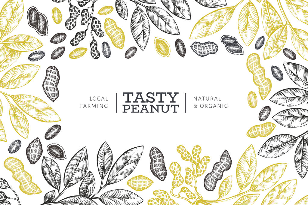 قالب طراحی برچسب شاخه و بادام زمینی دست‌کشیده.