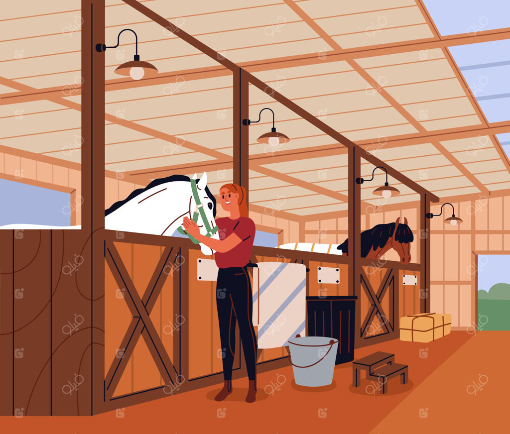 زنی که در اصطبل به مراقبت از اسب‌ها می‌پردازد. زن سوارکار و کارگری که از اسب نر و اسب‌های مسابقه در طویله مراقبت می‌کند. زن اسب‌سوار در آغول چوبی در ساختمان پرورش اسب. تصویرسازی وکتور.