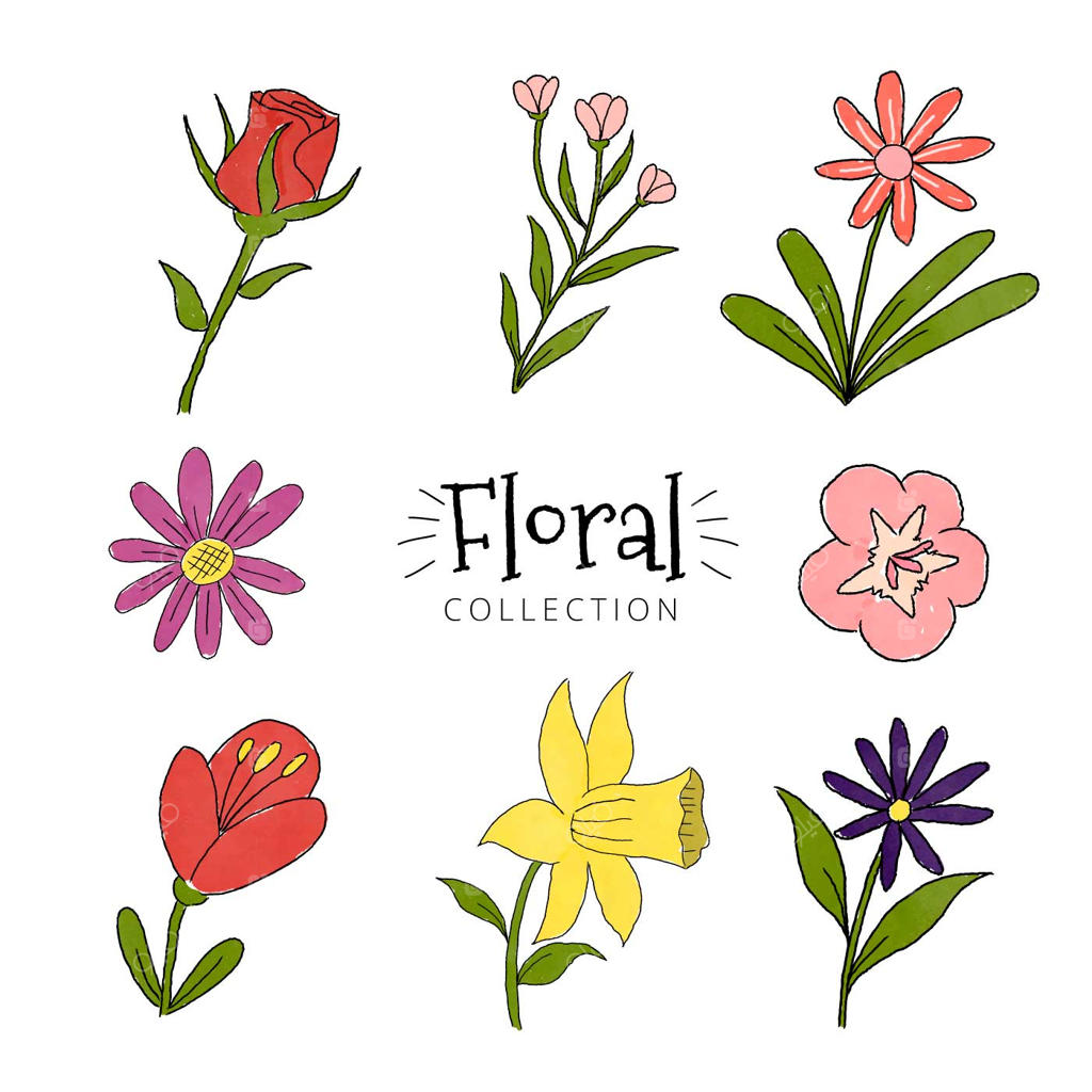 مجموعه‌ای از گل‌های رنگارنگ