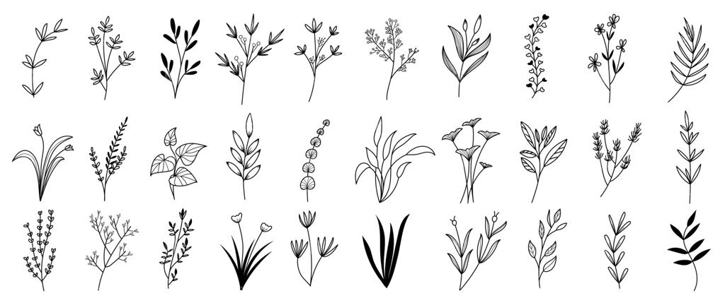 مجموعه عناصر نمایشی گیاه‌شناسی. مجموعه‌ای از شاخ و برگ‌، شاخه، شکوفه و گل‌های وحشی به سبک طراحی خطی. طراحی مینیمال برای لوگو، دعوت‌نامه عروسی و دکوراسیون.