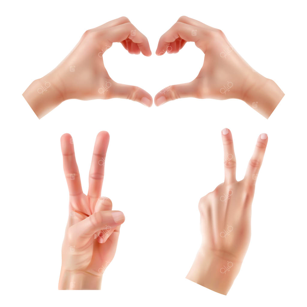 دست‌ها در حالت‌های مختلف: ژست‌های دست زنانه با اشاره، انگشتان ضربدری، مشت، علامت صلح و شست