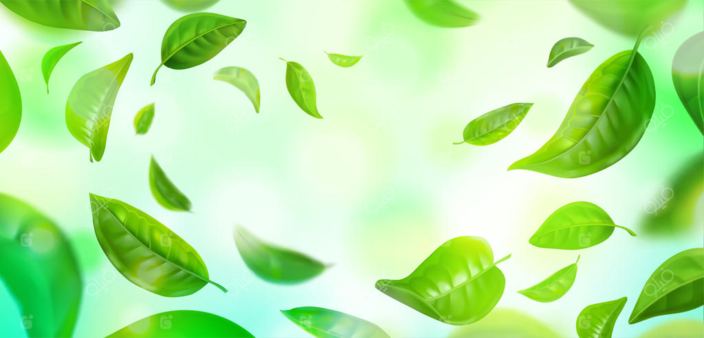 پس‌زمینه برگ‌های سبز: تصویر واقعی پرواز برگ‌های نعناع و چای سبز، بنر وکتوری محیط بهاری طبیعت